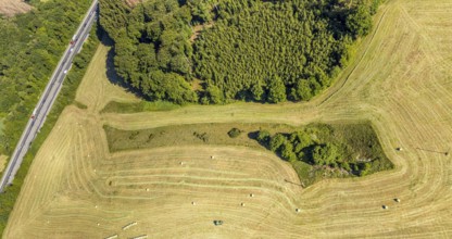 Aerial view, Agricultural area, Farm Auf der Niedergethe, Hiddinghauser Straße, Niedersprockhövel,