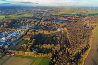 Aerial photo, Westerhaar industrial estate, TÜV NORD inspection centre Wickede Werl, forest damage,