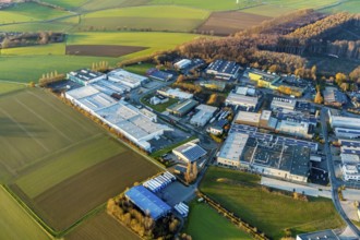 Aerial photo, Westerhaar industrial estate, forest damage, clear-cutting and spruce felling, Werl,
