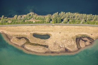 Aerial view, sheep at waterhole at Bergen Lake, lambs, lamb, Bislich, Wesel, Ruhr area, Lower