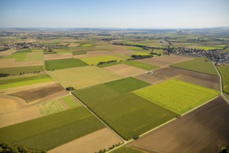 Aerial view, meadows and fields, Hohenwepel, Warburg, OWL, Ostwestfalen-Lippe, East Westphalia,