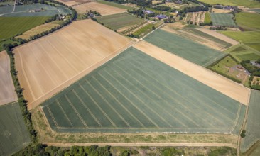 Aerial view, fields Plankendickskendel, Neukirchen-Vluyn, Lower Rhine, North Rhine-Westphalia,