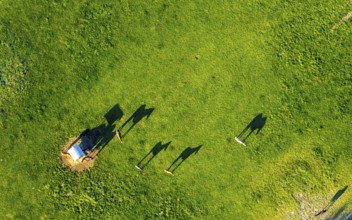 Aerial view, horses and feeding place on a green meadow, riding facility Stapelskotten, shapes and