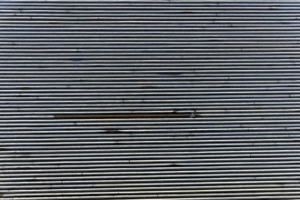 Aerial view, asparagus fields, asparagus cultivation, Südmühlenweg, Kamillusweg, Münster,