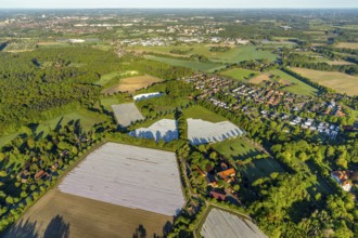 Aerial view, asparagus fields, asparagus cultivation, Südmühlenweg, Kamillusweg, Münster,