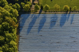 Aerial view, asparagus fields, asparagus cultivation, Südmühlenweg, Kamillusweg, Münster,