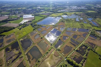 Aerial photograph, nature reserve Rieselfelder Münster, European bird sanctuary, Münster,