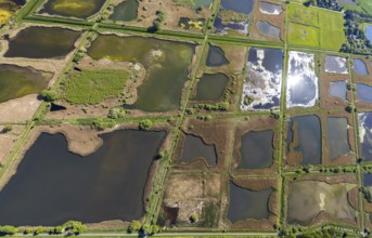 Aerial photograph, nature reserve Rieselfelder Münster, European bird sanctuary, Münster,