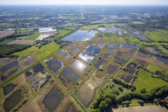 Aerial photograph, nature reserve Rieselfelder Münster, European bird sanctuary, Münster,