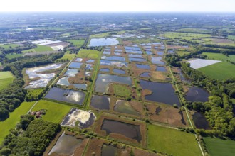 Aerial photograph, nature reserve Rieselfelder Münster, European bird sanctuary, Münster,