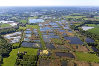 Aerial photograph, nature reserve Rieselfelder Münster, European bird sanctuary, Münster,