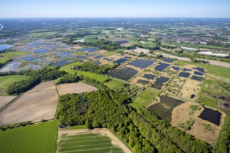 Aerial photograph, nature reserve Rieselfelder Münster, European bird sanctuary, Münster,