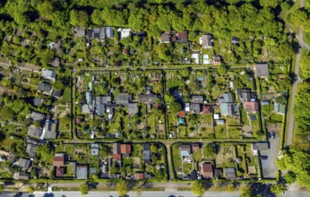 Aerial view, allotment garden site Gut Grün, WienburgPark, Münster, Münsterland, North