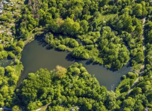 Aerial view, Wienburgpark, Schilfsee, Münster, Münsterland, North Rhine-Westphalia, Germany, DE,