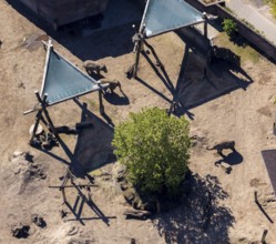 Aerial view, all-weather zoo Münster, elephant house, elephants, open-air grounds, Münster,
