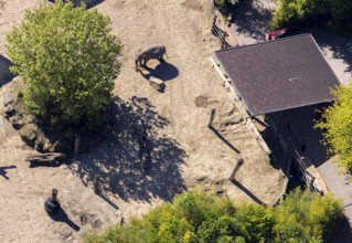 Aerial view, all-weather zoo Münster, elephant house, elephants, open-air grounds, Münster,