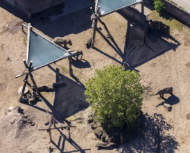 Aerial view, all-weather zoo Münster, elephant house, elephants, open-air grounds, Münster,