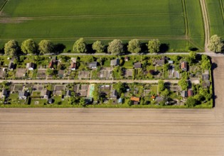 Aerial view, allotment garden site Uhlenhorst, Münster, Münsterland, North Rhine-Westphalia,