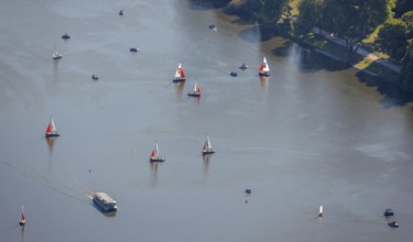 Aerial view, sailing boats on the Aasee, Münster, Münsterland, North Rhine-Westphalia, Germany,
