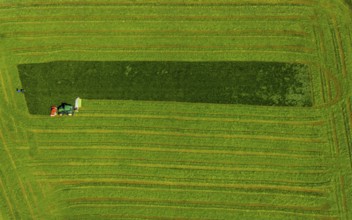 Aerial view, tractor mowing meadow, Münster, Münsterland, North Rhine-Westphalia, Germany, DE,