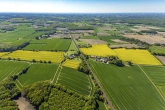 Aerial view, LWW Schweinemast KG Landwirtschaftsbetrieb, Hof Große Wöstmann Christmas trees,