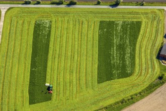 Aerial view, tractor mowing meadow, Münster, Münsterland, North Rhine-Westphalia, Germany, DE,