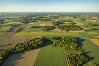 Aerial photo, Münster-Telgte airfield, Telgte, Warendorf district, Münsterland, North