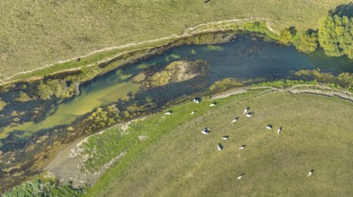 Aerial view, river Lippe, Lippe floodplains, nature reserve, Lippborg, Lippetal, district Soest,