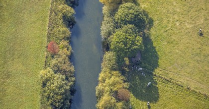 Aerial photograph, Lippe floodplains, River Lippe, Herzfeld, Lippetal, Soest district, North