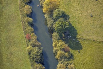 Aerial view, Lippe floodplains, river Lippe, Herzfeld, Lippetal, district Soest, North