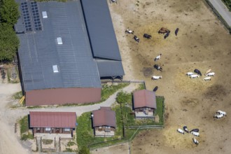 Aerial view, Elspe-Festival-Gelände, Zur Naturbühne, Lennestadt, Sauerland, North Rhine-Westphalia,