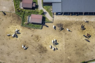 Aerial view, Elspe-Festival-Gelände, Zur Naturbühne, Lennestadt, Sauerland, North Rhine-Westphalia,