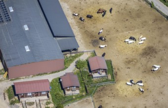 Aerial view, Elspe-Festival-Gelände, Zur Naturbühne, Lennestadt, Sauerland, North Rhine-Westphalia,