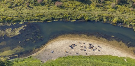 Aerial view, nature reserve Lippeaue, river Lippe, Benninghausen, Lippstadt, district Soest, North