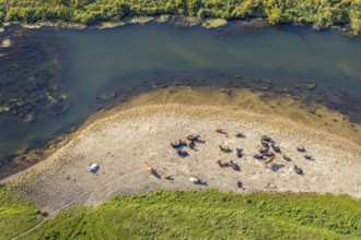 Aerial view, nature reserve Lippeaue, river Lippe, Benninghausen, Lippstadt, district Soest, North