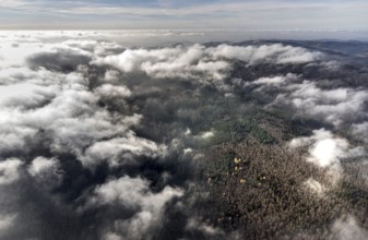 Aerial view, sea of clouds over forest area, Siedlinghausen, Winterberg, Sauerland, North