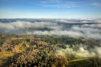 Aerial view, sea of clouds over forest area, Bödefeld, Schmallenberg, Sauerland, North