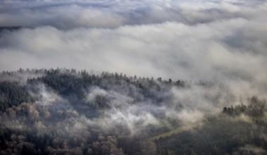 Aerial view, sea of clouds over forest area, Bödefeld, Schmallenberg, Sauerland, North