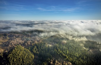 Aerial view, sea of clouds over forest area, Bödefeld, Schmallenberg, Sauerland, North
