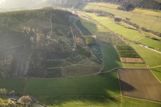 Aerial view, hilltop, forest damage, Bödefeld, Westernbödefeld, Schmallenberg, Sauerland, North