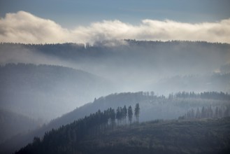 Aerial view, hilltop in fog, forest damage, Bödefeld, Schmallenberg, Sauerland, North