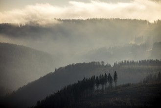 Aerial view, hilltop in fog, forest damage, Bödefeld, Schmallenberg, Sauerland, North