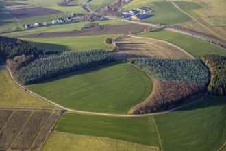 Aerial view, meadows and forest pattern near Bödefeld, Westernbödefeld, Schmallenberg, Sauerland,