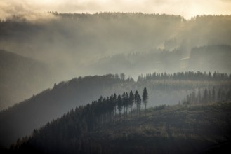 Aerial view, hilltop in fog, forest damage, Bödefeld, Schmallenberg, Sauerland, North