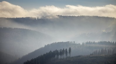 Aerial view, hilltop in fog, forest damage, Bödefeld, Schmallenberg, Sauerland, North