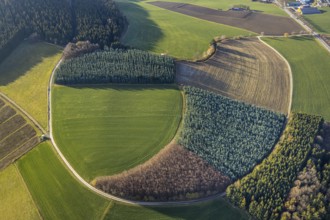 Aerial view, meadows and forest pattern near Bödefeld, Westernbödefeld, Schmallenberg, Sauerland,