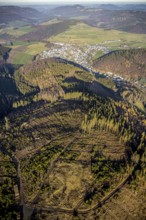 Aerial view, hilltop, forest damage, local view Bödefeld, Westernbödefeld, Schmallenberg,
