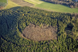 Aerial photo, hilltop, forest damage, Bödefeld, Westernbödefeld, Schmallenberg, Sauerland, North