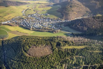 Aerial view, hilltop, forest damage, local view Bödefeld, Westernbödefeld, Schmallenberg,