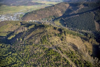 Aerial view, hilltop, forest damage, local view Bödefeld, Westernbödefeld, Schmallenberg,